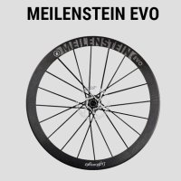 라이트웨이트 마일렌슈타인 에보 디스크, MEILENSTEIN EVO, 동진임포츠