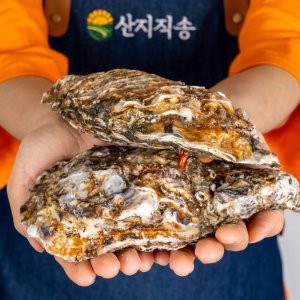 생굴1kg 최저가 가성비상품