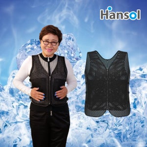 [공식] 한솔 아이스 쿨조끼 1개 + 보냉백 3개 + 아이스팩 6개 세트 (대량구매할인)