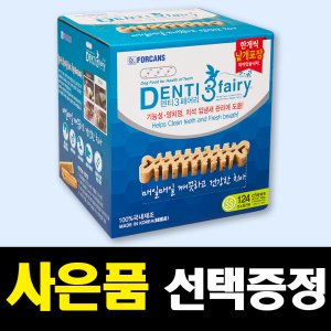 덴티페어리 최저가 가성비상품