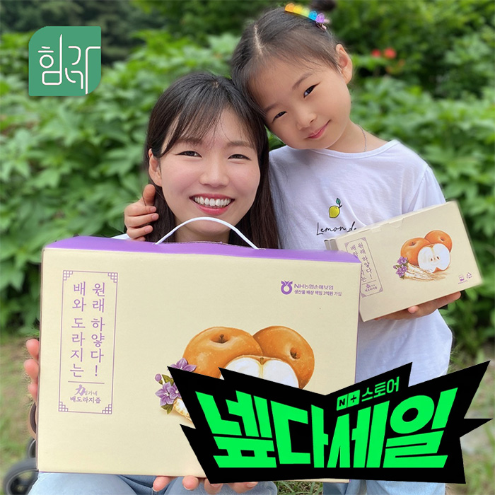 힘가네 <b>도라지</b>배즙 1박스(80ml x 40개입)