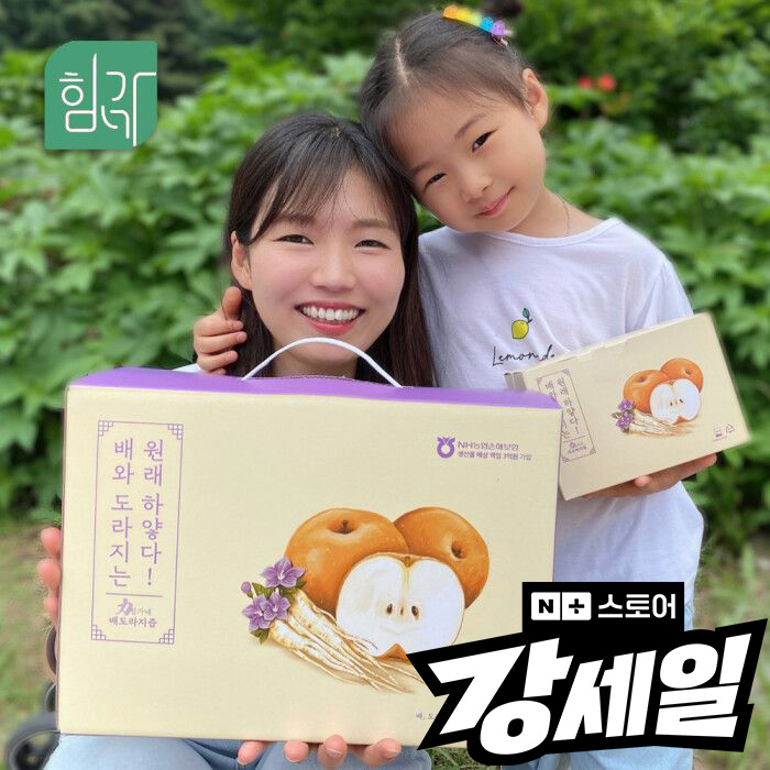 힘가네 <b>도라지</b>배즙 1박스(80ml x 40개입)