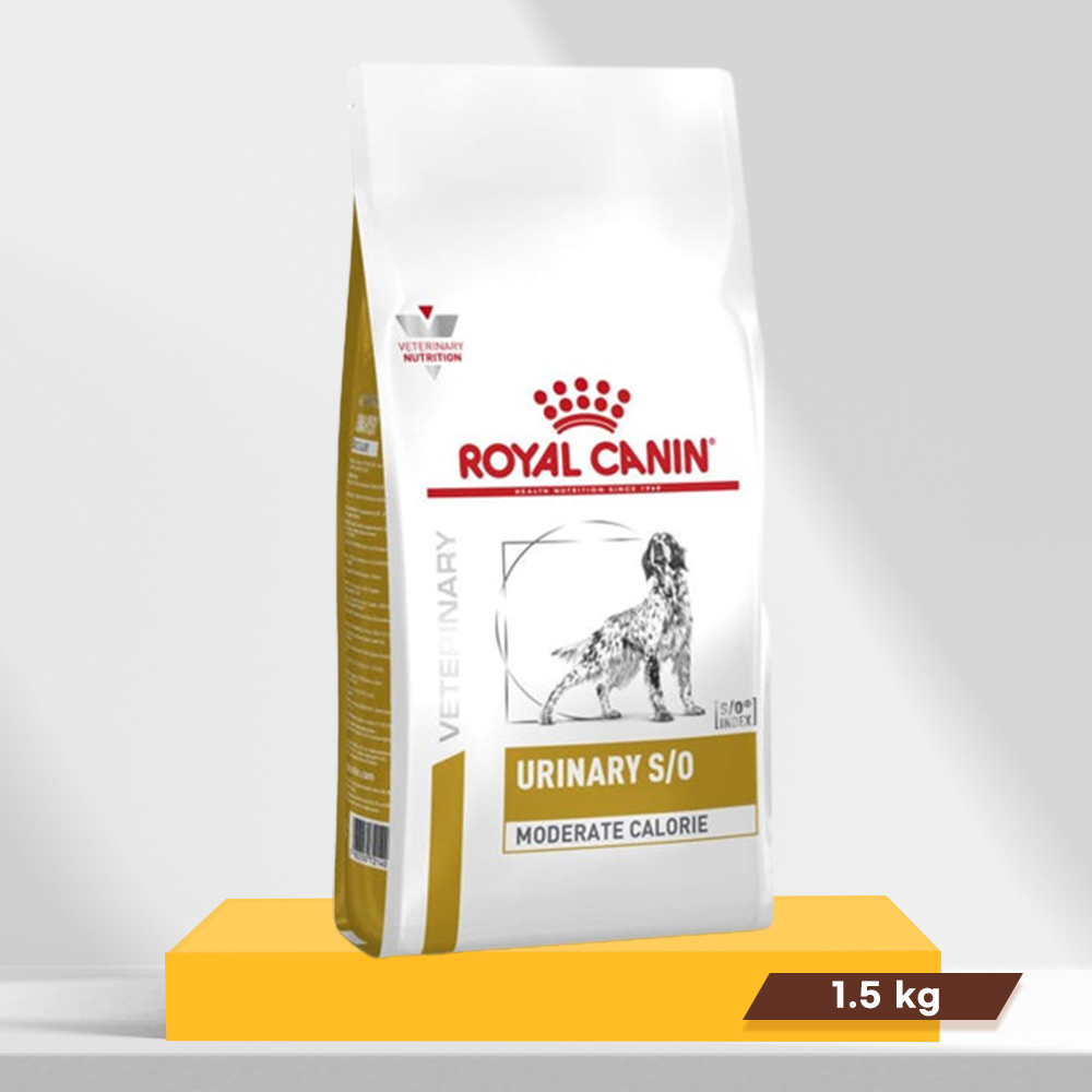 (당일출고) 로얄캐닌 독 강아지 Urinary moderate 유리너리 모더레이트, 1.5kg, 1개