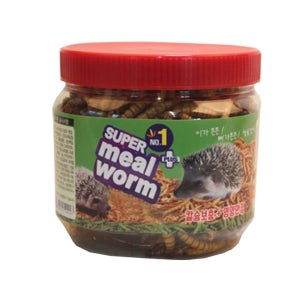 광고 메인 이미지