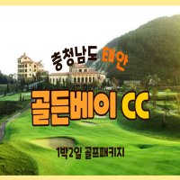 충청도/충남/태안/골든베이CC 1박2일골프패키지