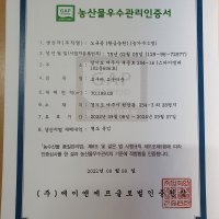 천기누설고구마줄기 통채루 잎포함 4킬로