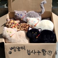 사르르 걱정을 녹여주는 사랑스러운 빵냥이 핸드메이드고양이인형 커스텀인형