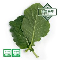 하늘농부 친환경(무농약이상) 쌈케일 150g 케일 쌈채소