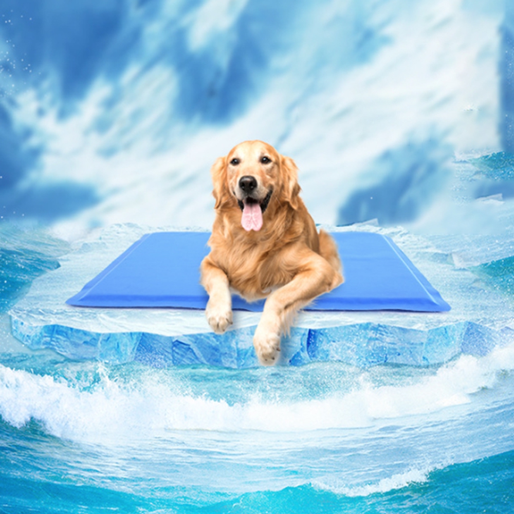 강아지쿨매트 반려견 애견 고양이 펫 여름 쿨링 매트 쿨방석