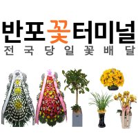 꽃배달 화환 축하화환 근조화환 개업화분 결혼식 장례식 꽃바구니 전국