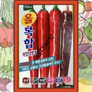복합내병계 올복합 고추씨앗 종자 1200립 건고추씨