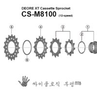 시마노 XT (M8100) 12단 스프라켓휠 코그