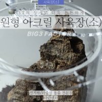 원형 아크릴 테라리엄 사육장 (소) / 비바리움 / 베타 소품 어항 / 타란튤라사육장