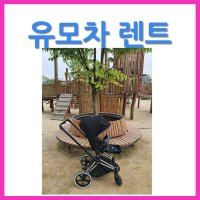 [대여]2개월 싸이벡스 디럭스 대여/렌탈 유아 신생아 프리암 크롬 렌트 2개월