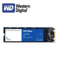 WD BLUE M.2 SATA SSD 1TB 정품 데스크탑 노트북 SSD하드디스크 1테라