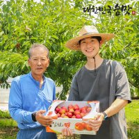 김천자두 추희 피자두 도담 후무사 대석 자두 포모사 왕 특 3kg