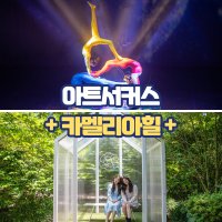 제주 아트서커스+카멜리아힐 / 제주도 여행 서쪽 관광지 가족여행 대정