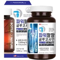 글루코사민 황산염 엠에스엠 조인트 msm GLUCOSAMINE 글로코사민 120정