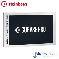 Steinberg Cubase Pro 12 스테인버그 큐베이스 프로 교육용