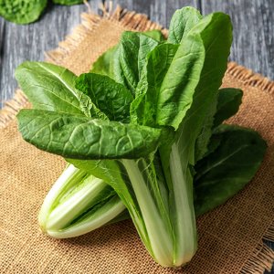 친환경 무농약 얼갈이배추 1kg
