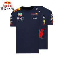 f1 포뮬러 원 레이싱 슈트 자켓 티셔츠 2022년 F1 레이싱복 레드불 팀 티셔츠