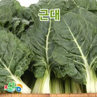 근대 2-4kg 1박스 쌈 국근대쌈채소특수야채 돌바우