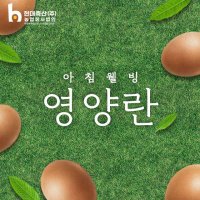 프리미엄 계란 영양란 특란 특등급 60구 (무항생제)