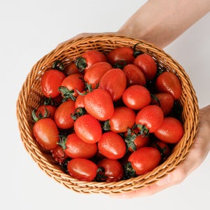 스테비아 토마토 방울토마토 대추 토망고 단마토