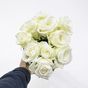 백장미 한단10송이 생화택배 하얀장미 꽃다발 고속터미널꽃시장