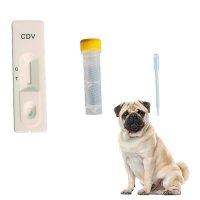 개 10 테스트/키트 CDV Ag 송곳니 Distemper 바이러스 항원 신속한 테스트