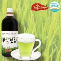 새싹보리차 원액 농축액 진액 엑기스 다홍치마