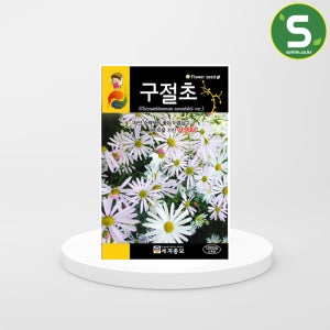 솔림텃밭몰 구절초 씨앗 1000립 다년생 꽃 야생화 종자