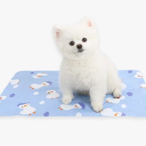 이츠독 강아지 고양이 여름 쿨매트 M 사이즈