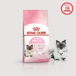 로얄캐닌 캣 마더&베이비캣 모유수유 새끼고양이 마더앤베이비, 10kg, 1개
