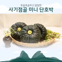 사기점골 무농약 미니 단호박 3kg 5kg 국내산 농산물 진안고원