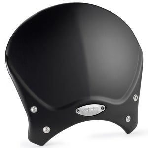 지비 오토바이 튜닝 윈드스크린 100ALB 브라켓 별도 기비