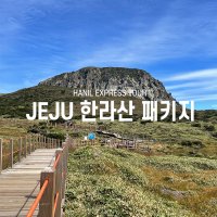 [한라산 등반 패키지] 여수출발 백록담 성판악 윗세오름 어리목 영실코스 1박2일 트레킹 제주도배편