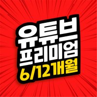 유튜브 프리미엄+유튜브 뮤직 이용권 6개월 / 12개월