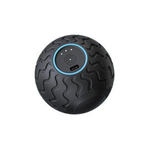 테라바디 웨이브 솔로 진동 마사지볼