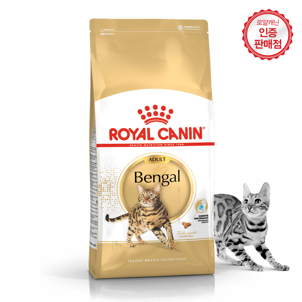 벵갈 고양이 (Bengal Cat)