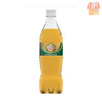 일본음료 캐나다드라이 진저에일 700ml