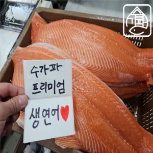 [이벤트] 수가파 슈페리얼 뱃살 생연어 1kg