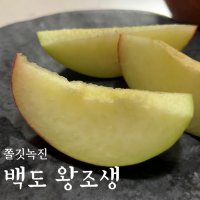 팜블리네 햇살어린복숭아 백도 황도 천중도 천도 마도카 엘바트 딱딱이 말랑이 복숭아