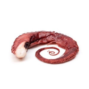 부드러운 자숙 문어다리 10kg 필리핀 냉동 삶은 데친 문어족 숙회