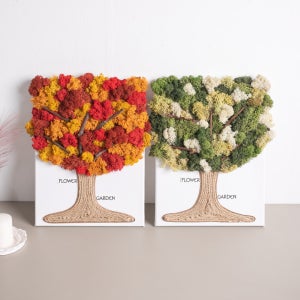스칸디아모스 공기정화식물 액자 우드 트리 set 40cm 2컬러 인테리어 천연 이끼 벽장식 소품 플랜테리어