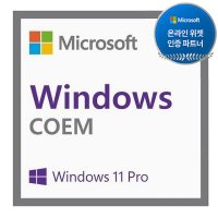 MS 윈도우 11 프로 Windows 11 Pro DSP 정품 한글