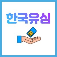 선불유심 칩 20 30 40 60일 한국 알뜰폰 단기 데이터무제한 심카드