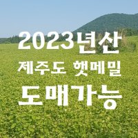 [소꿉농부도매] 2023년산 국내산 햇 제주 메밀쌀 20kg 대용량(업소용)