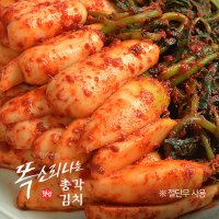 김가연 총각김치 5kg 맛있는 총각김치