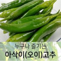 누구나 즐기는 아삭이(오이)고추 상 1kg